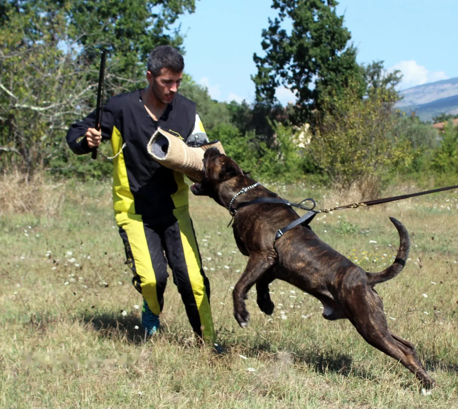 Crono durante un esercizio di difesa