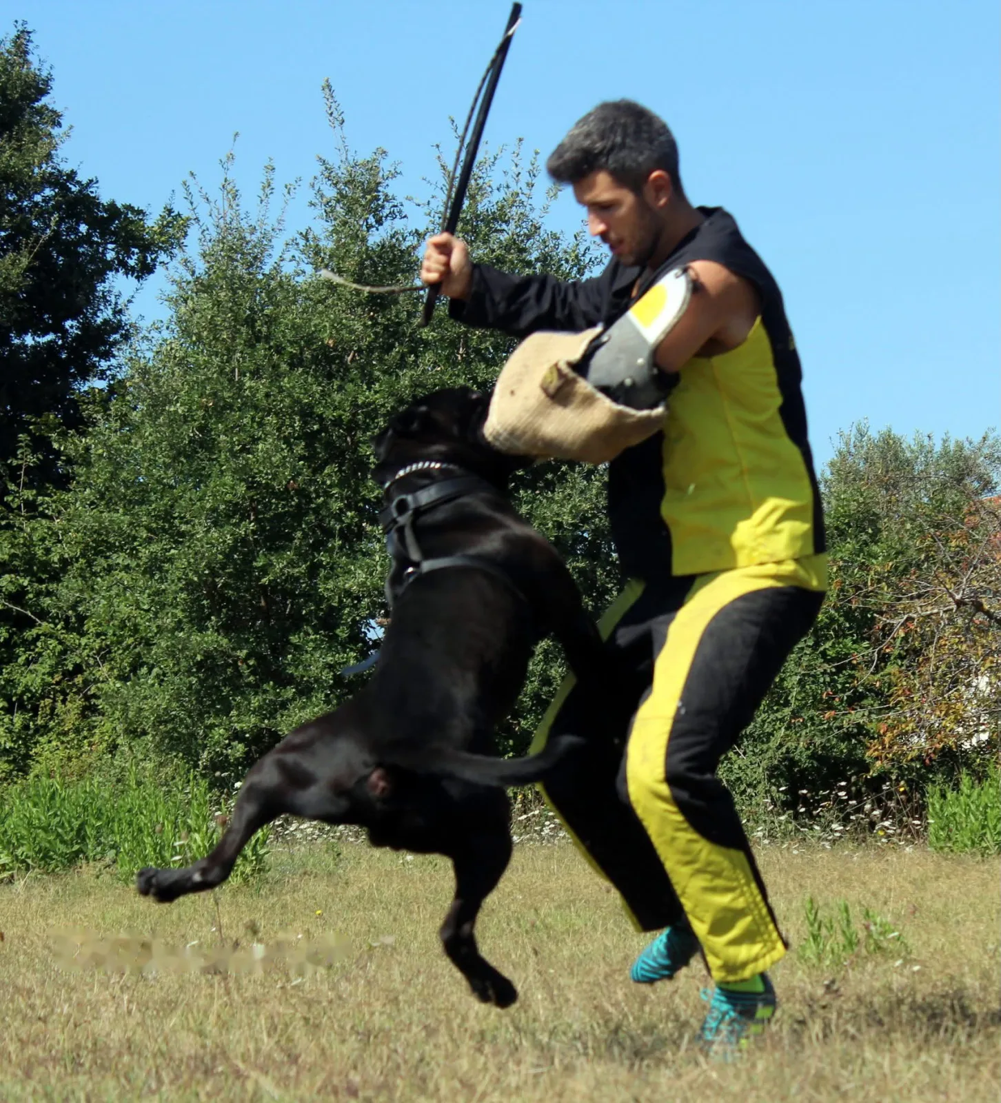 Duce in salto sul manicotto