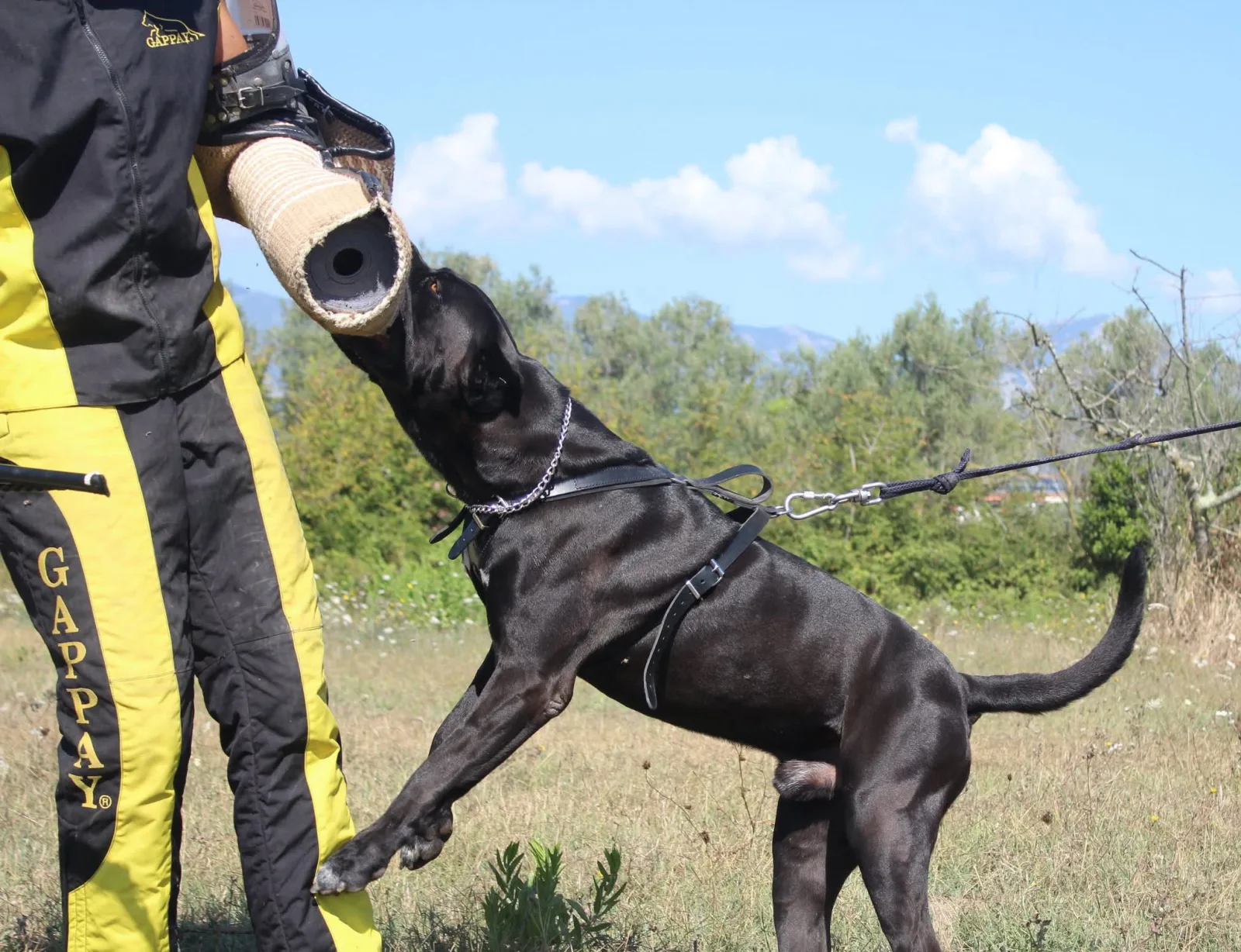 Duce in presa sul manicotto
