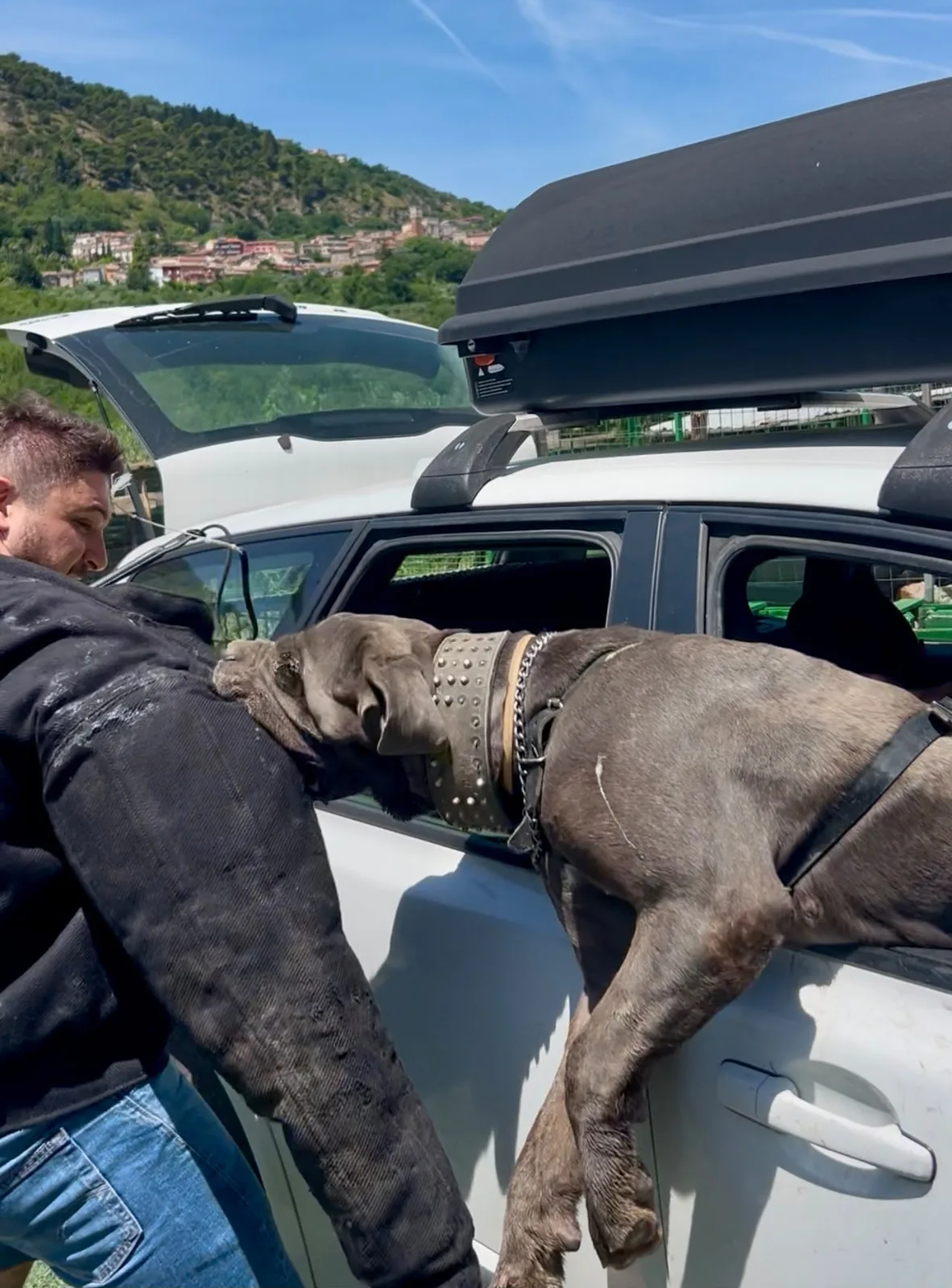 Maga in presa sul manicotto dal finestrino di un’auto