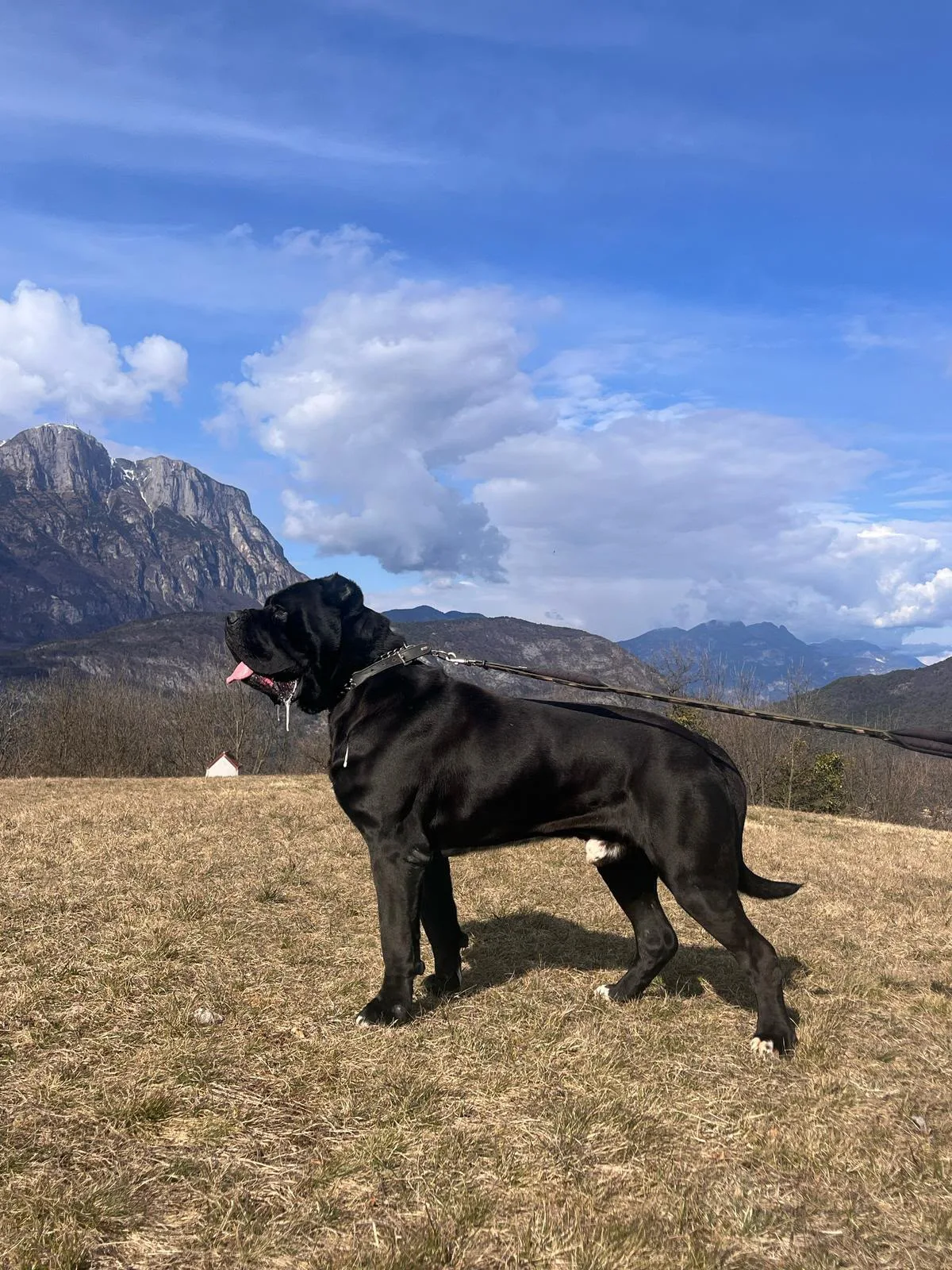 Meridio in posa con le montagne sullo sfondo