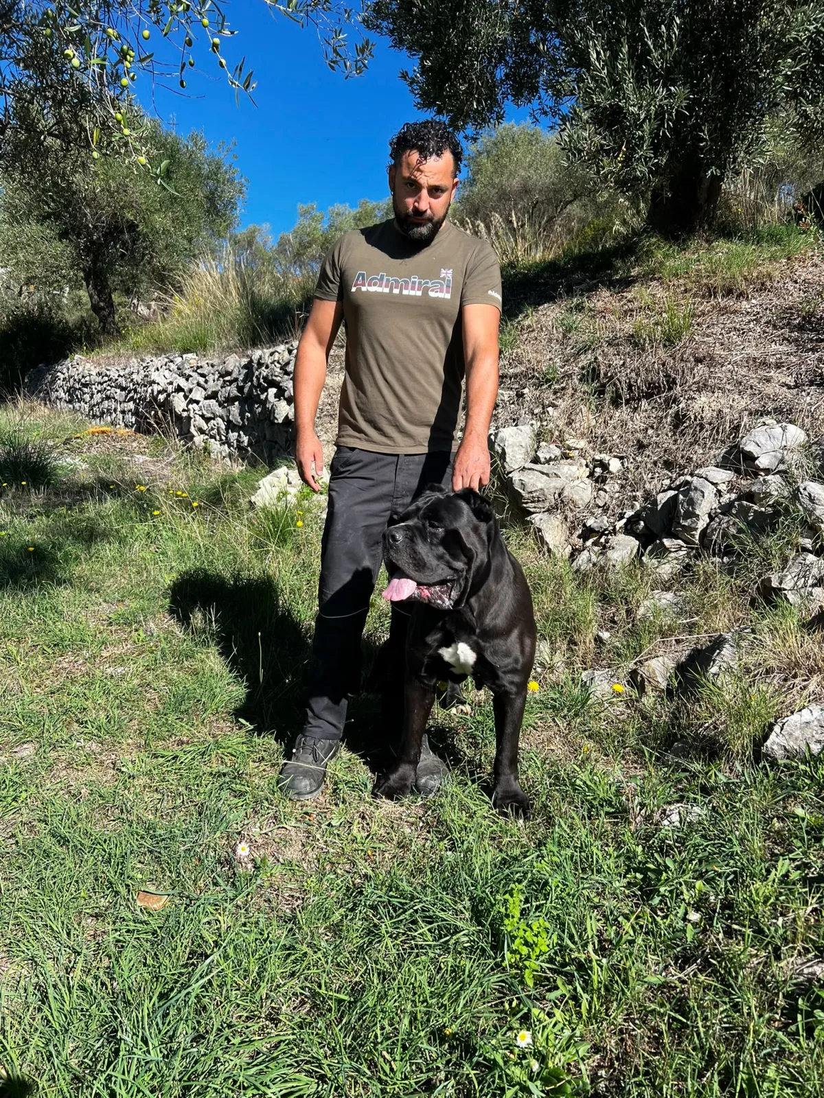 Meridio accanto al conduttore