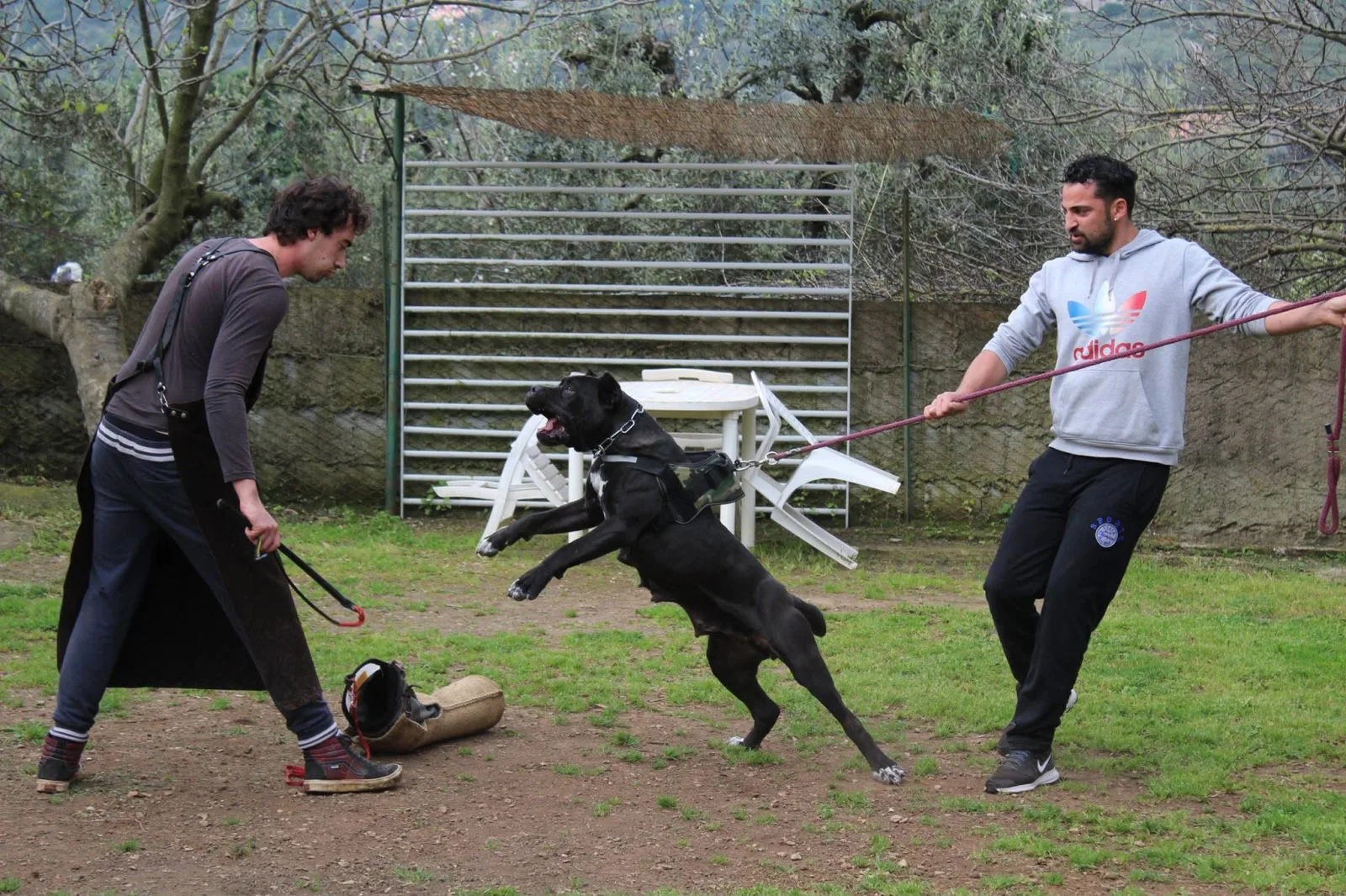 Roma durante un esercizio di addestramento