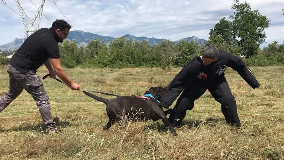 Roma in presa sulla tuta del figurante