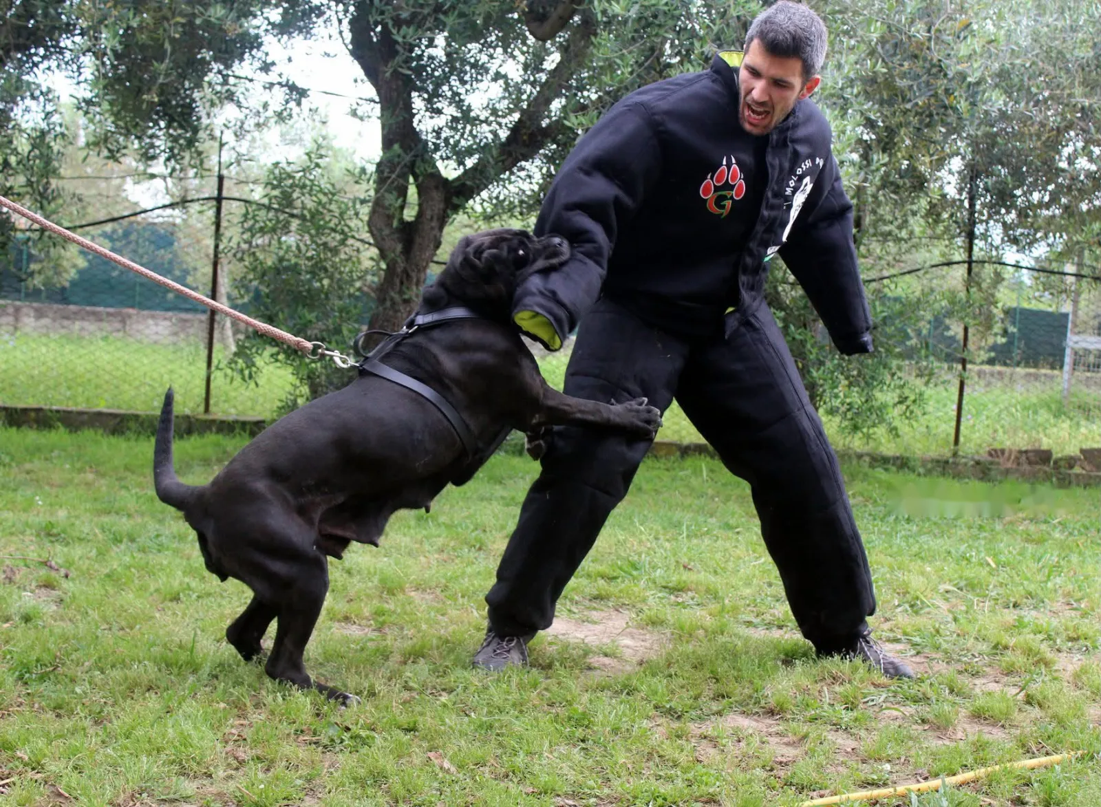 Sparta durante un esercizio di difesa