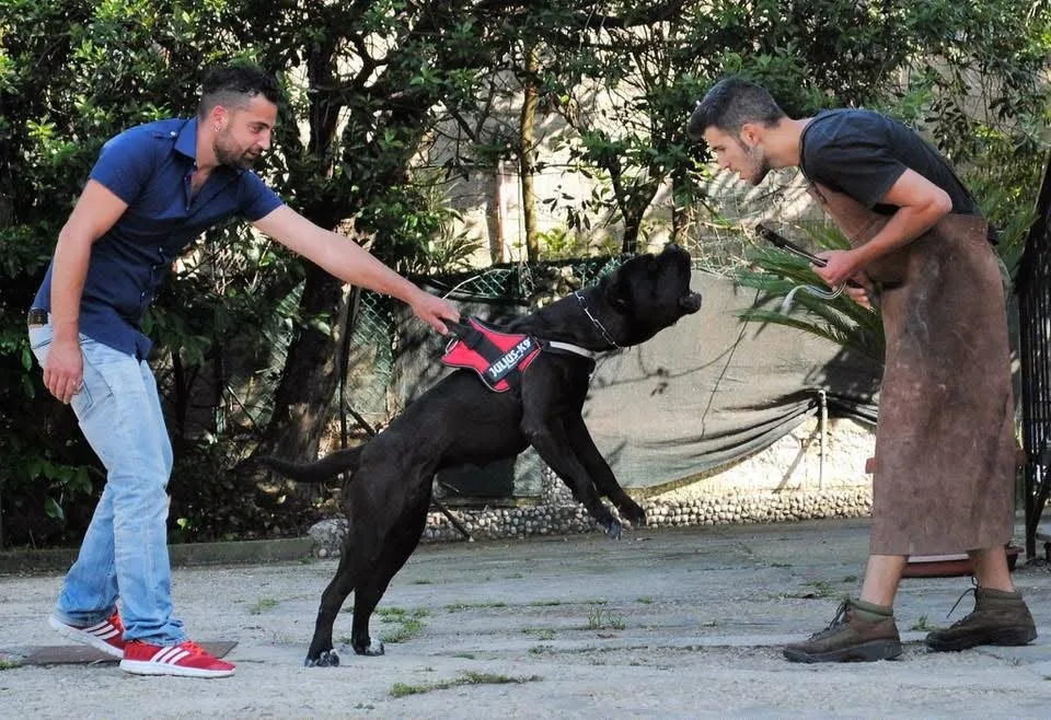 Sparta durante un esercizio di difesa con il manicotto