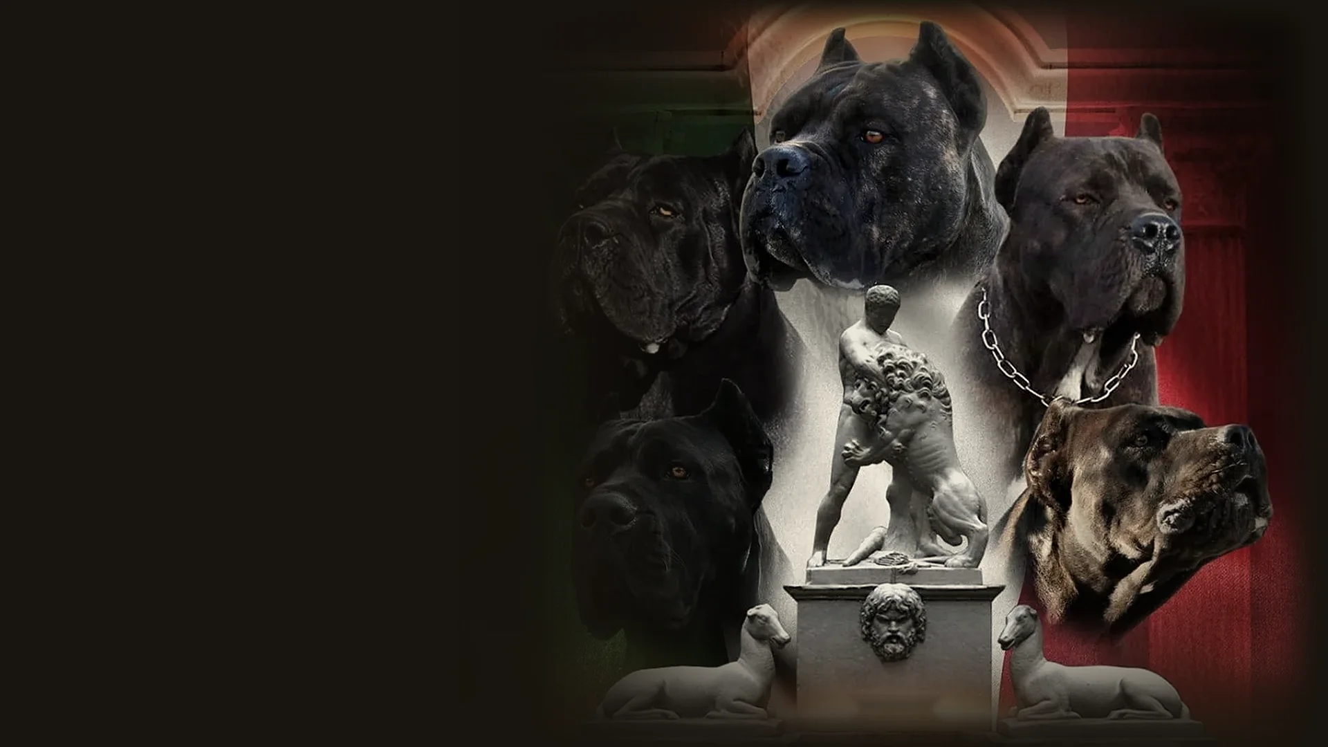 Cane Corso e Mastini Napoletani attorno alla statua di Ercole, con il tricolore italiano sullo sfondo